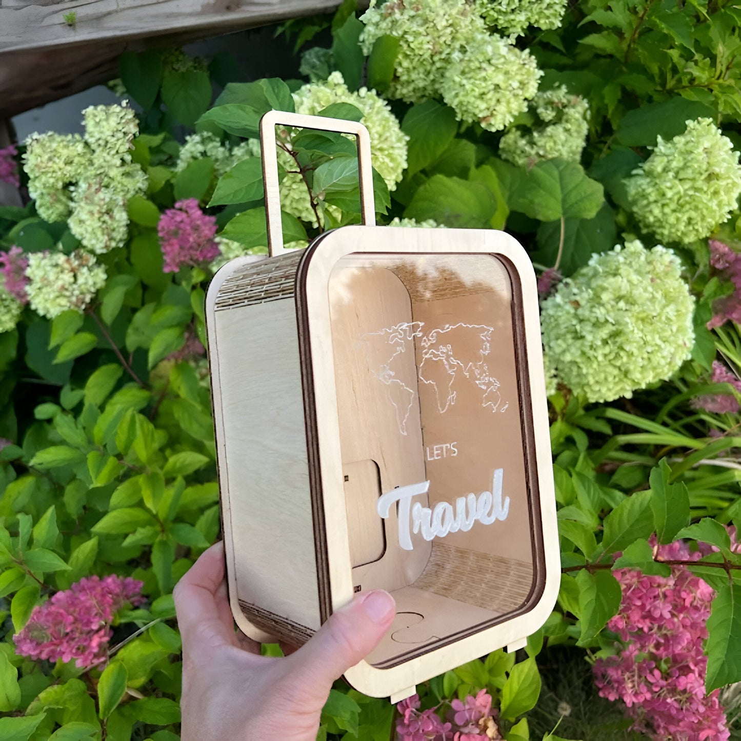 Travel Money Saving Bag